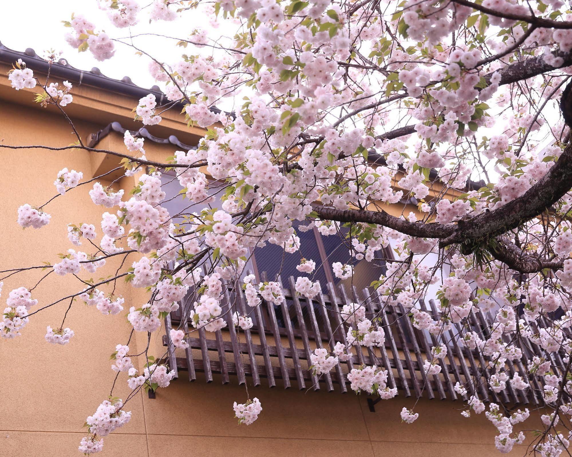 Hotel Tabi No Yado Satsuki Hita Exterior foto